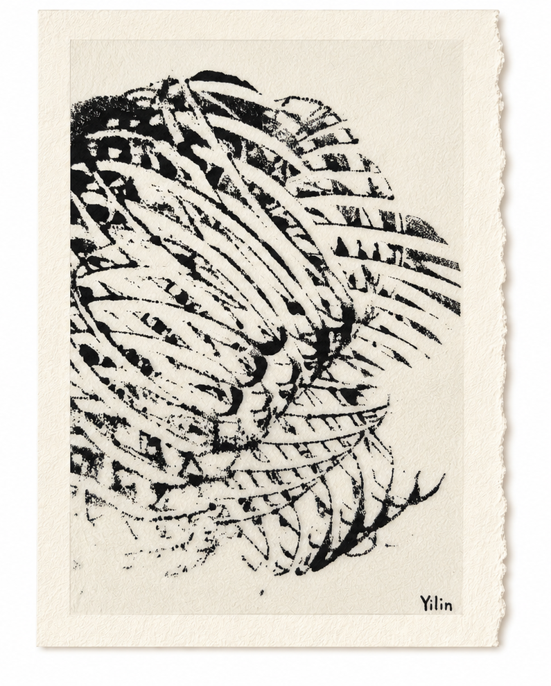 Black-and-white abstract print with sweeping lines